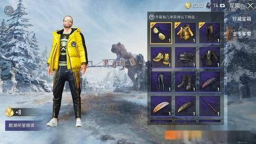 吃鸡军需币皮肤爆料最新,神秘皮肤即将亮相，军需币价值再升级！